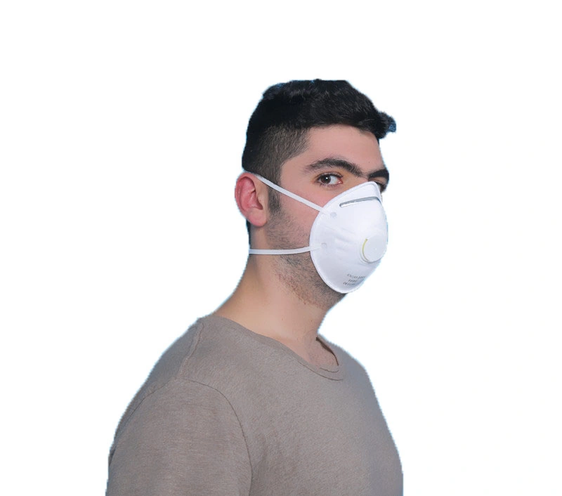 Anti Pollution and Dust Disposable FFP1 FFP2 Particulate Filtering Half Mask for Industrial Protection